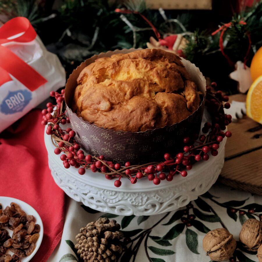 Panettone Classico Senza Glutine - Glusen