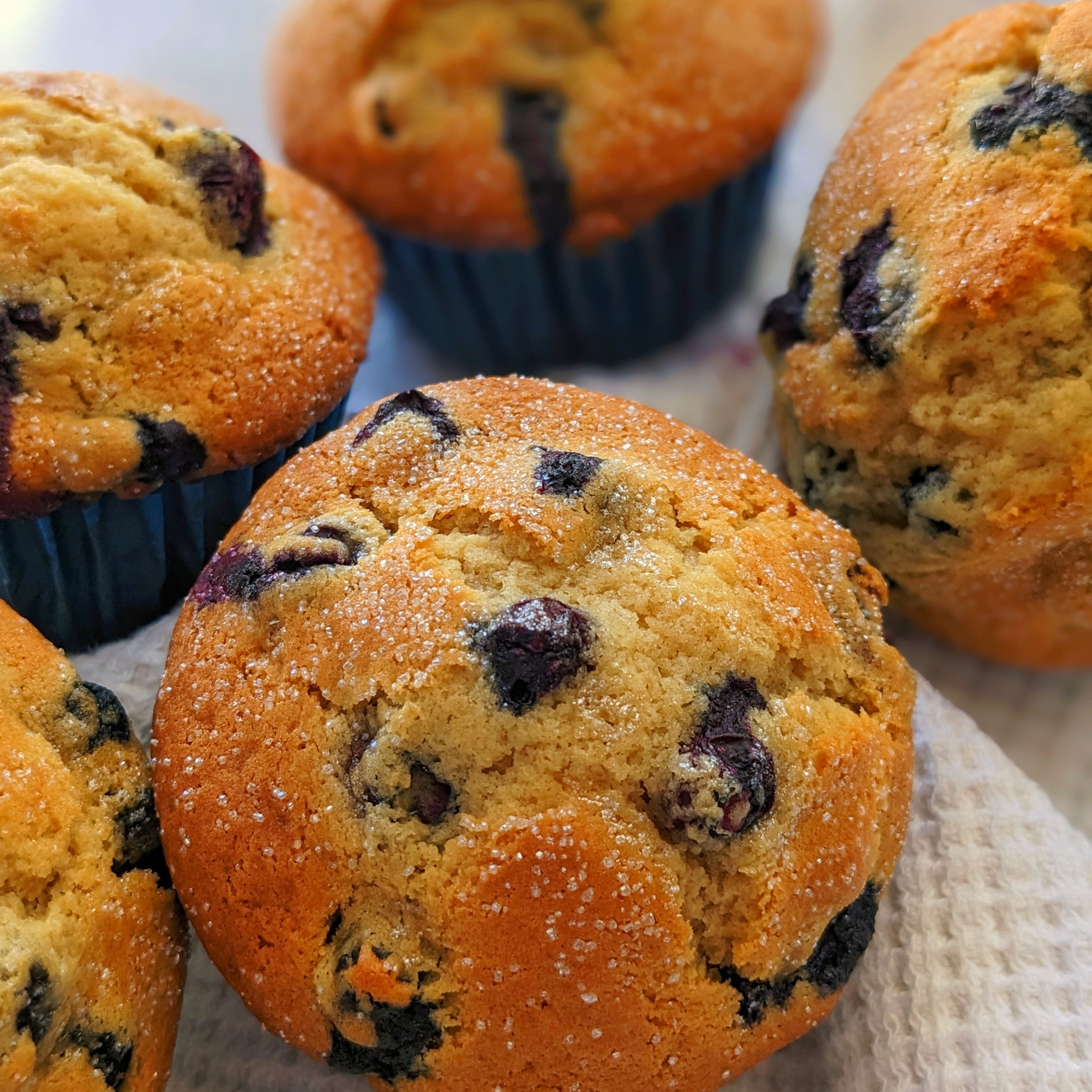 Muffin con gocce di Cioccolato Senza Glutine Alimenta 2000 200g