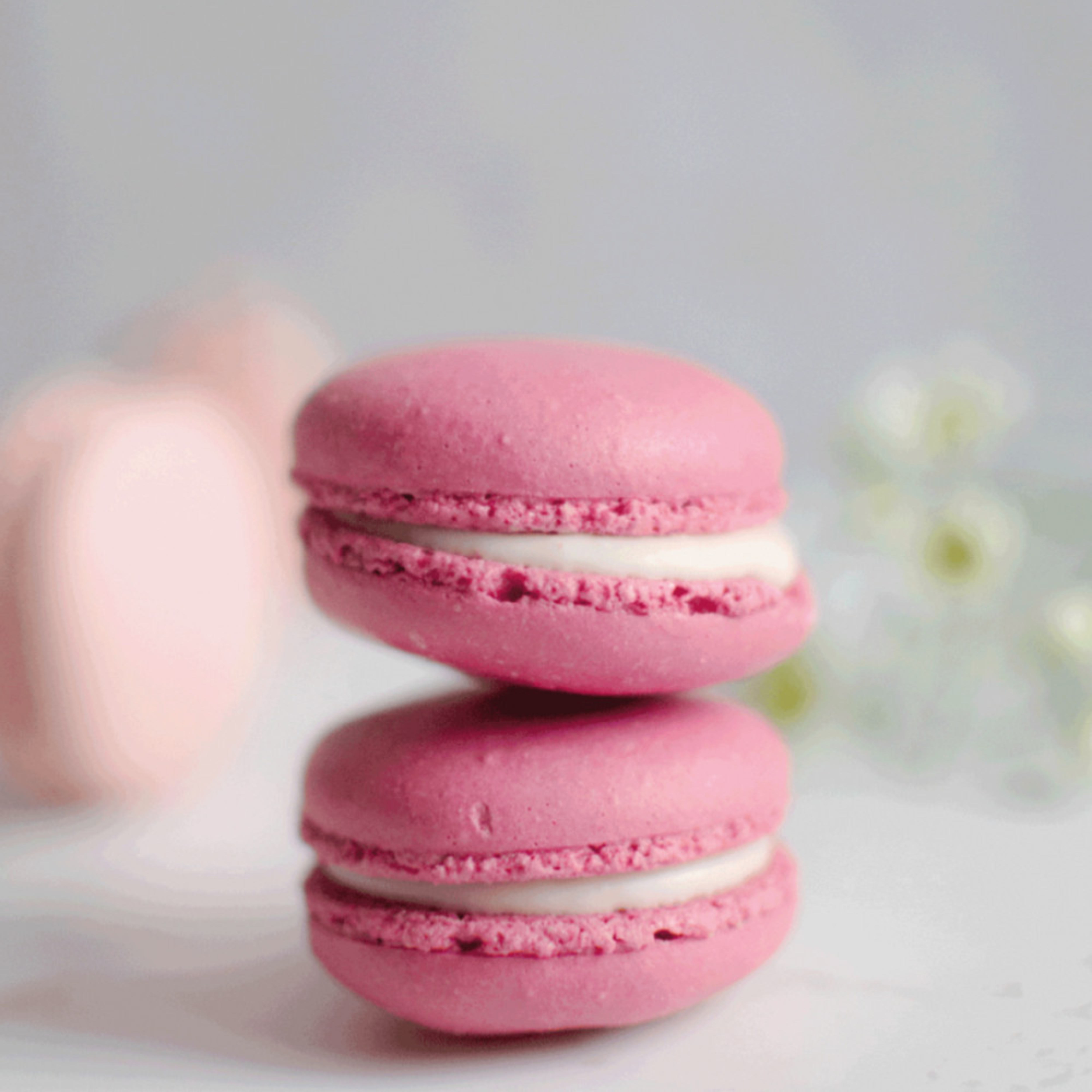 Erdbeer-Macaron Glutenfrei Cuorenero 42g