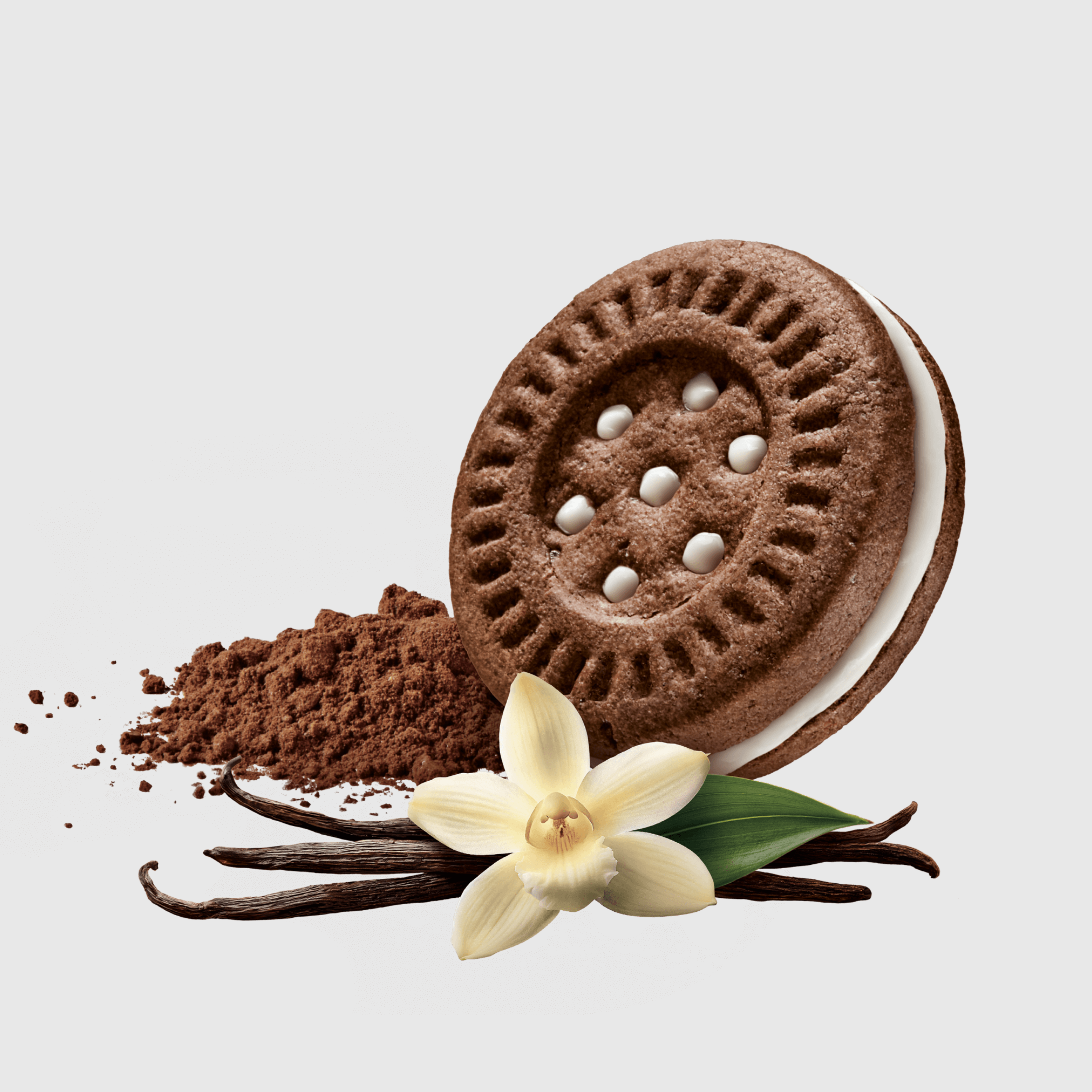 Galbusera Frollini al Cacao e Crama di Vaniglia Zerograno 160g Senza Glutine e Senza Lattosio